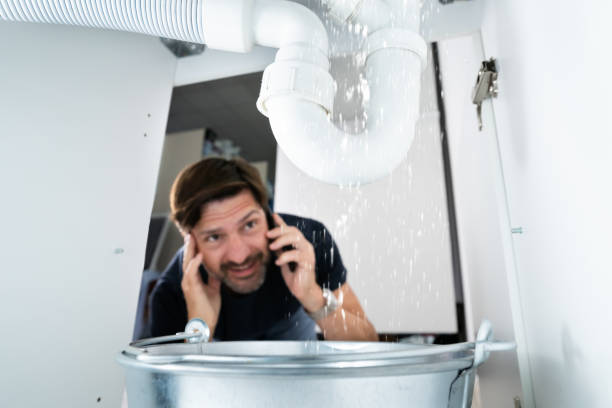 Best Local Plumber Services  in Haskell, AR